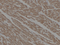 //rlrorwxhrkjnll5q-static.micyjz.com/cloud/liBpjKnjlkSRqipprkmmip/93829634df69e27c77ea7ecb1ceb0752-60-60.png